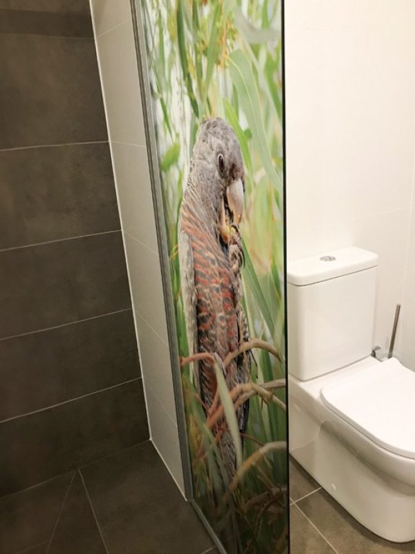 Shower Screen Panel Bird Print