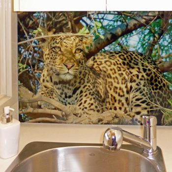 splashback-digital-leopard