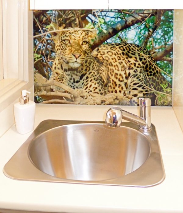 Splashback Digital Leopard